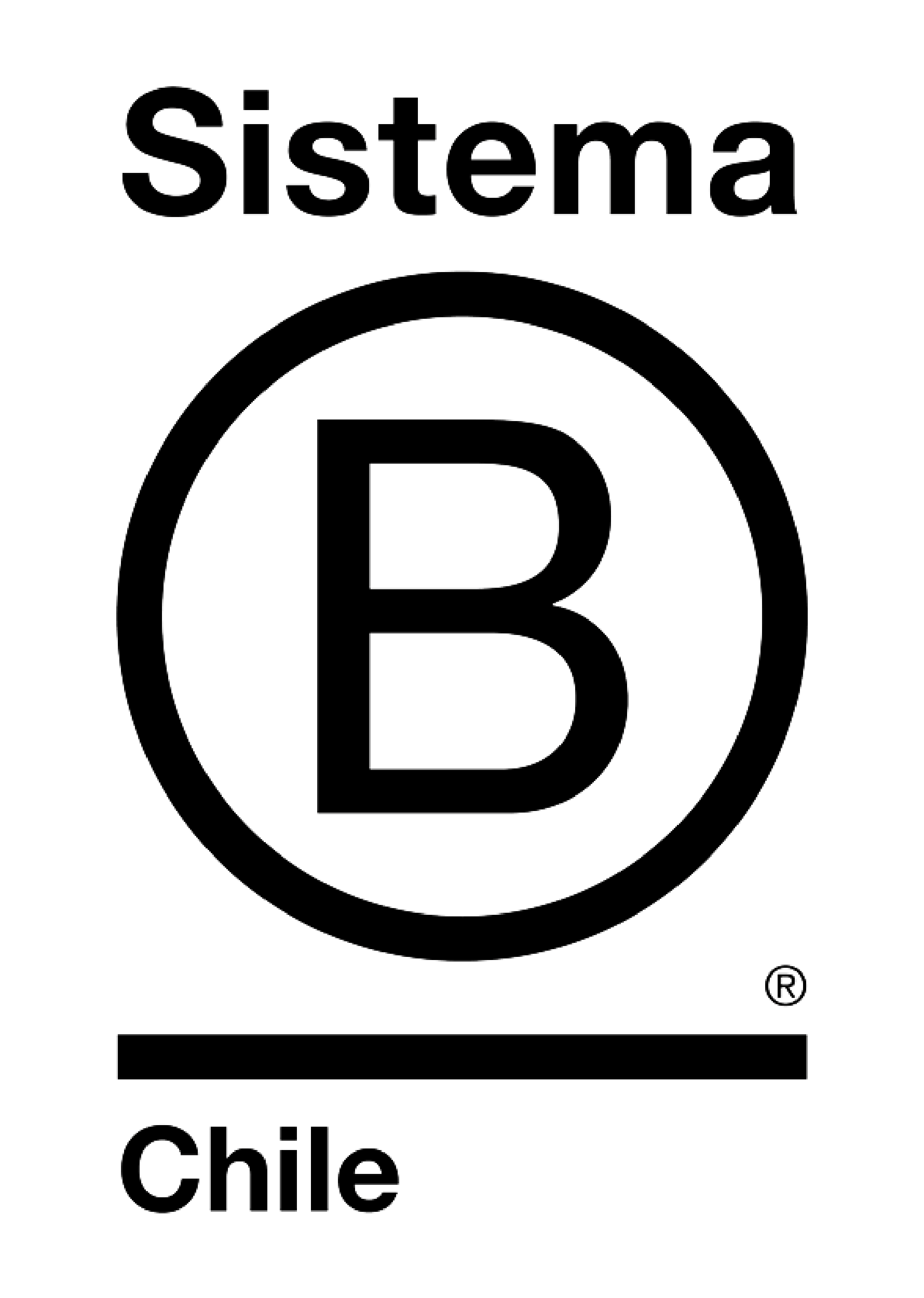 Logo Negro Sistema B-01