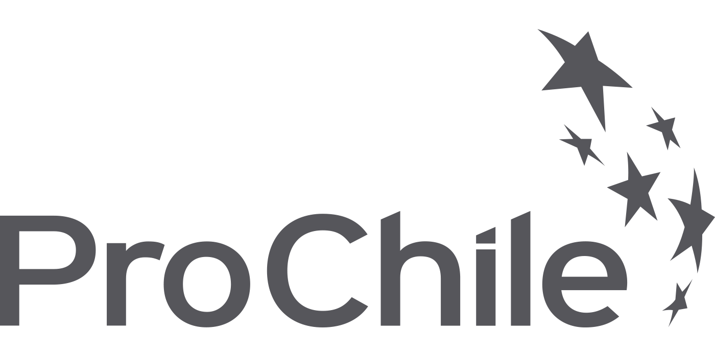 Logo-ProChile-Gris
